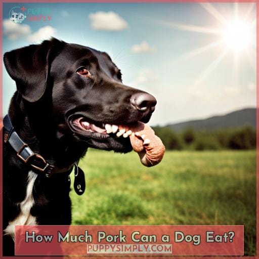 How Much Pork Can a Dog Eat? How Much Pork Can a Dog Eat?