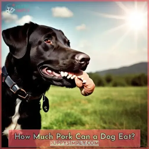 How Much Pork Can a Dog Eat?