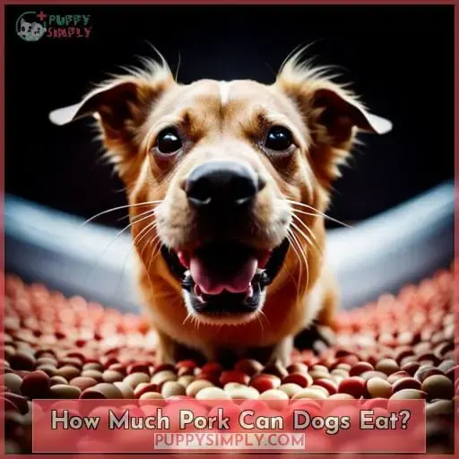 How Much Pork Can Dogs Eat?