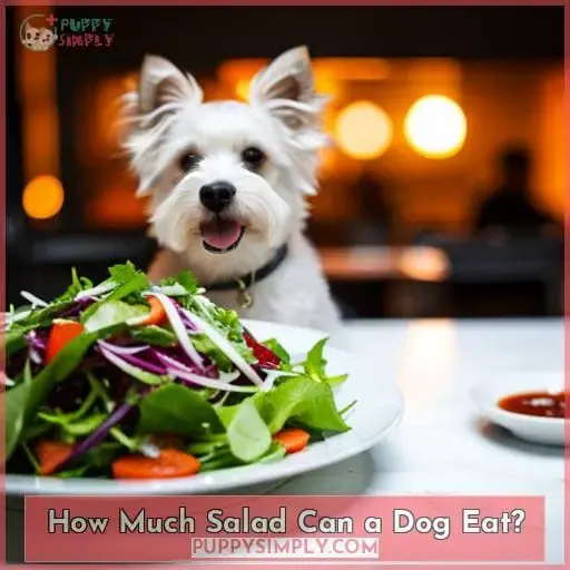 How Much Salad Can a Dog Eat