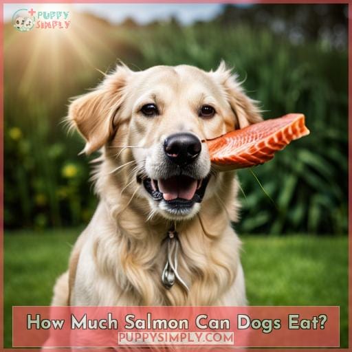How Much Salmon Can Dogs Eat?