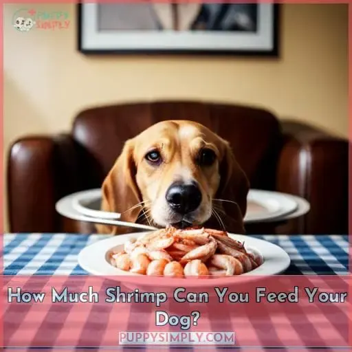 How Much Shrimp Can You Feed Your Dog