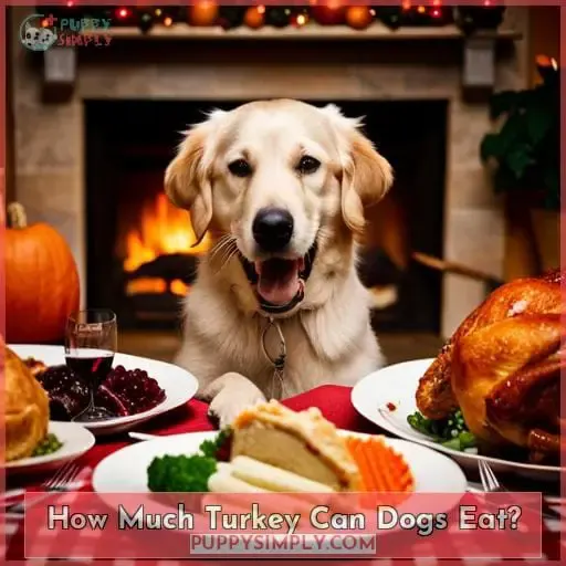 How Much Turkey Can Dogs Eat