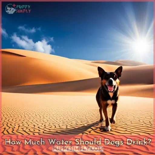 How Much Water Should Dogs Drink?