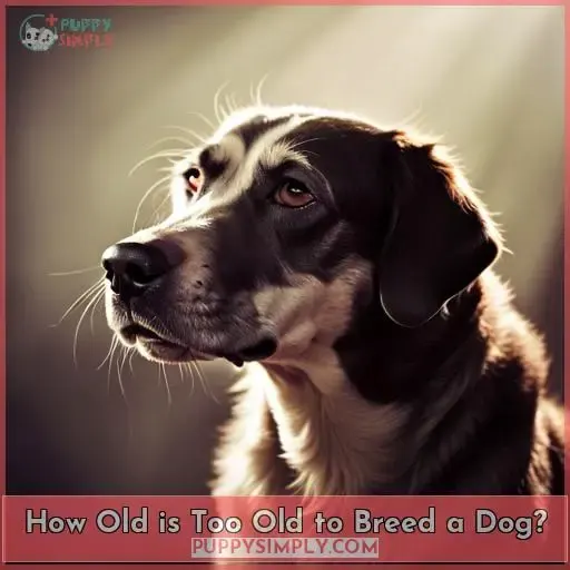 How Old is Too Old to Breed a Dog