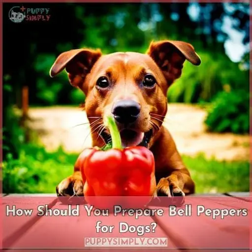 How Should You Prepare Bell Peppers for Dogs?
