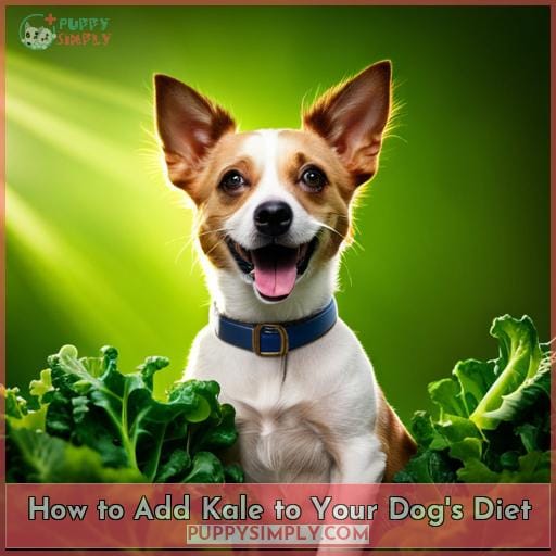 How to Add Kale to Your Dog