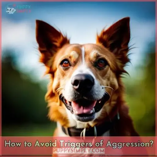 How to Avoid Triggers of Aggression?