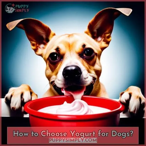 How to Choose Yogurt for Dogs?