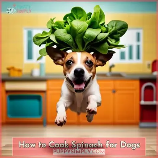 How to Cook Spinach for Dogs