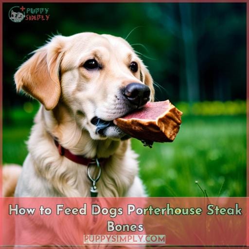 How to Feed Dogs Porterhouse Steak Bones