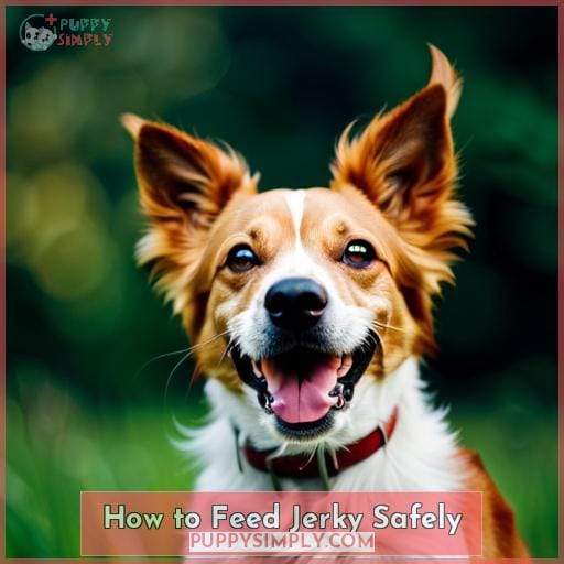 How to Feed Jerky Safely