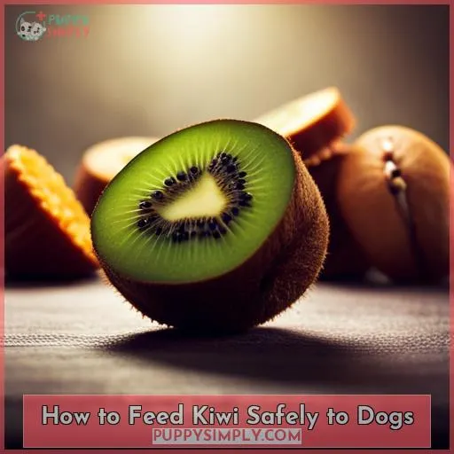 How to Feed Kiwi Safely to Dogs
