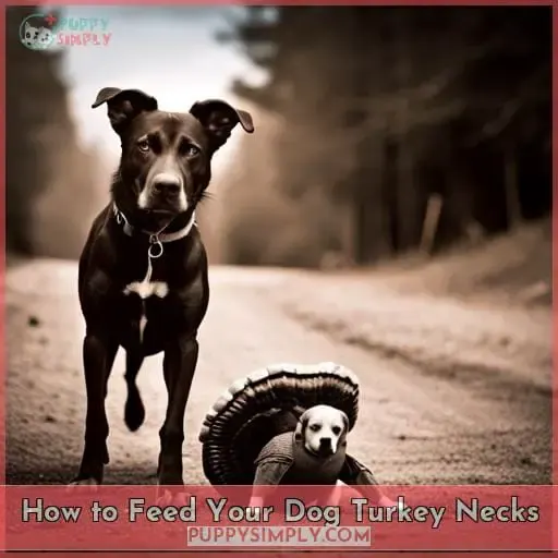 How to Feed Your Dog Turkey Necks