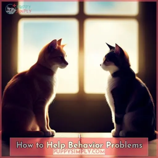 How to Help Behavior Problems