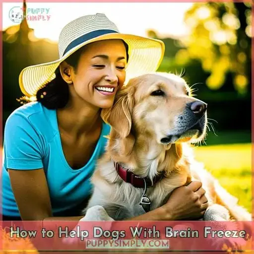 How to Help Dogs With Brain Freeze