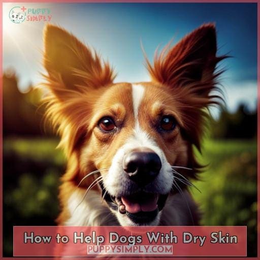How to Help Dogs With Dry Skin
