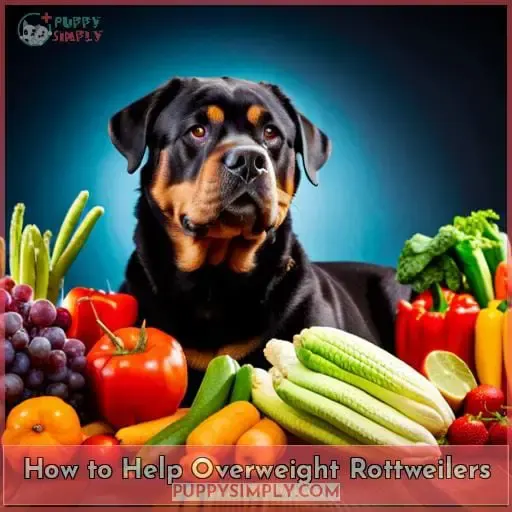 How to Help Overweight Rottweilers