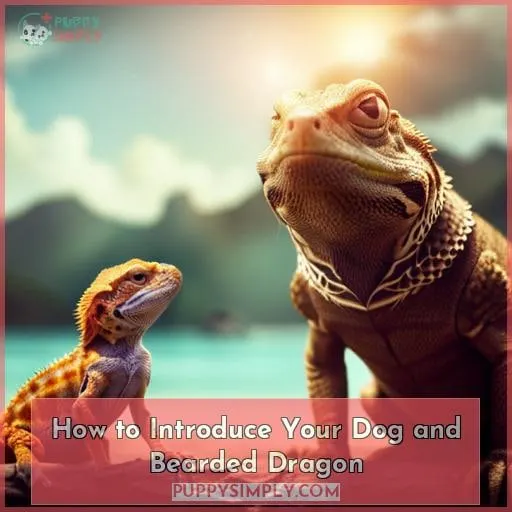 How to Introduce Your Dog and Bearded Dragon