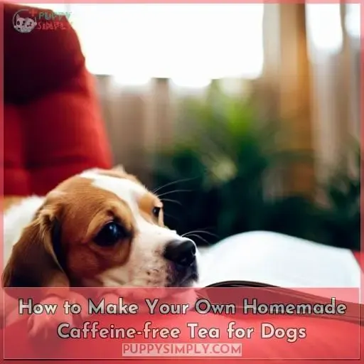 How to Make Your Own Homemade Caffeine-free Tea for Dogs