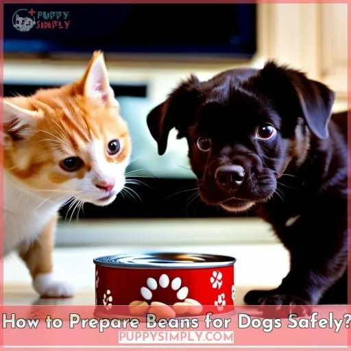 How to Prepare Beans for Dogs Safely?