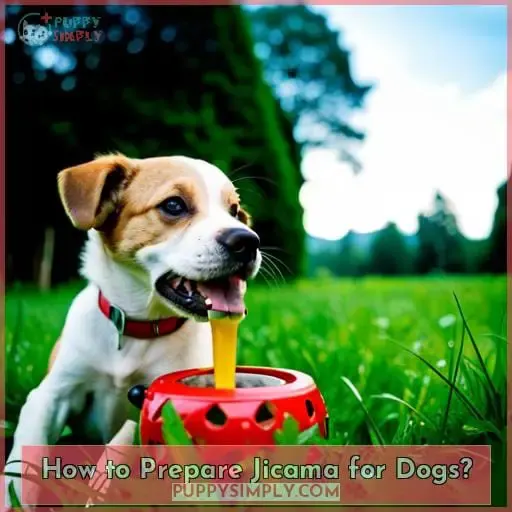 How to Prepare Jicama for Dogs?