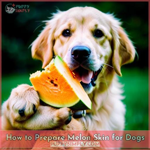 How to Prepare Melon Skin for Dogs