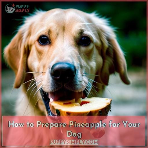 How to Prepare Pineapple for Your Dog