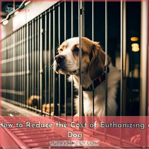 How to Reduce the Cost of Euthanizing a Dog
