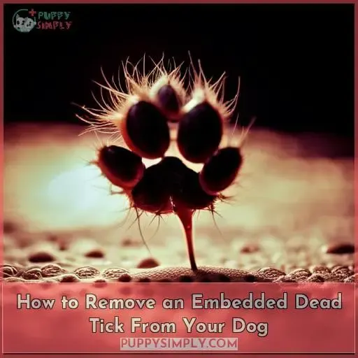 How to Remove an Embedded Dead Tick From Your Dog