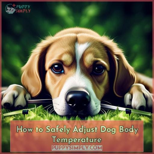 Monitor Dog Temperature: Simple Fever Chart Guide