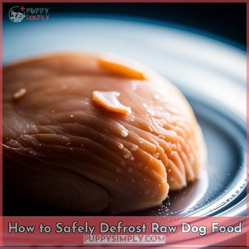 How to Safely Defrost Raw Dog Food