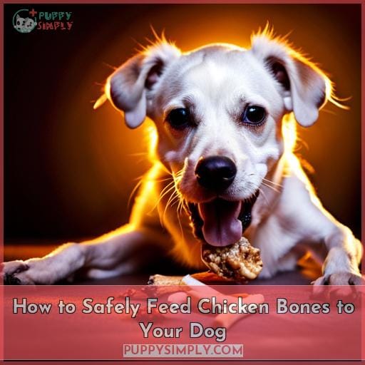 How to Safely Feed Chicken Bones to Your Dog