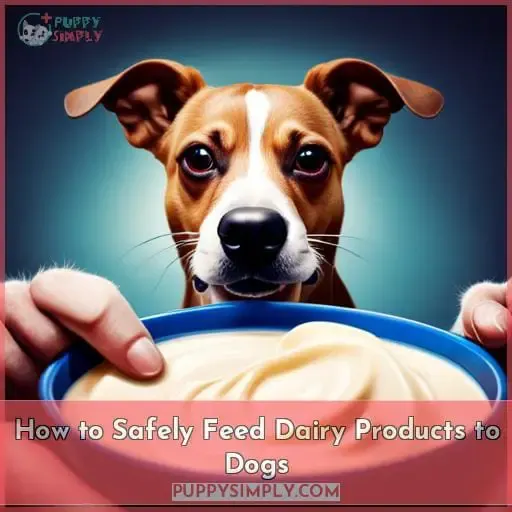 How to Safely Feed Dairy Products to Dogs