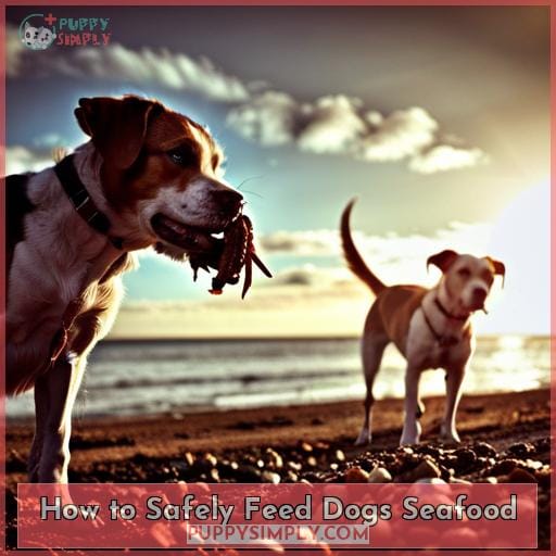 How to Safely Feed Dogs Seafood