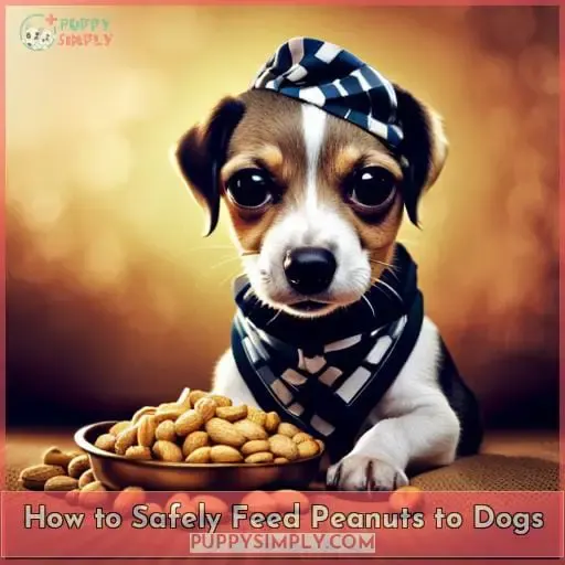 How to Safely Feed Peanuts to Dogs