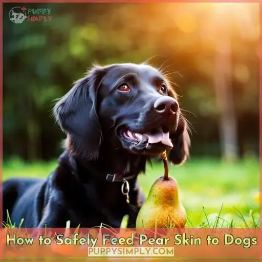 How to Safely Feed Pear Skin to Dogs