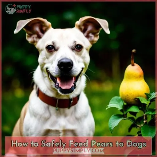 How to Safely Feed Pears to Dogs