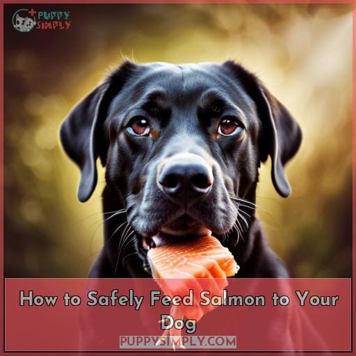 How to Safely Feed Salmon to Your Dog