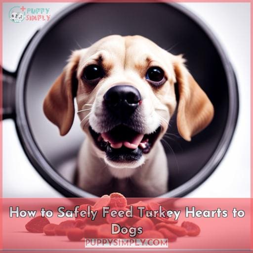 How to Safely Feed Turkey Hearts to Dogs How to Safely Feed Turkey Hearts to Dogs