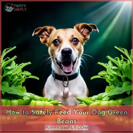 How to Safely Feed Your Dog Green Beans