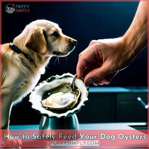 How to Safely Feed Your Dog Oysters