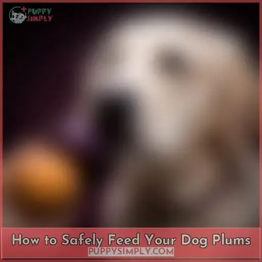 How to Safely Feed Your Dog Plums