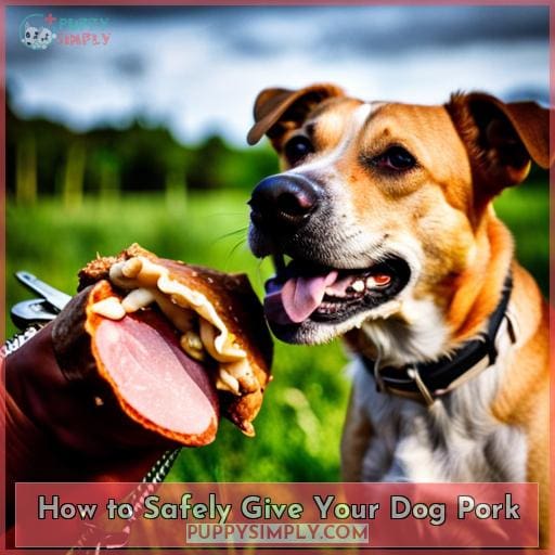How to Safely Give Your Dog Pork