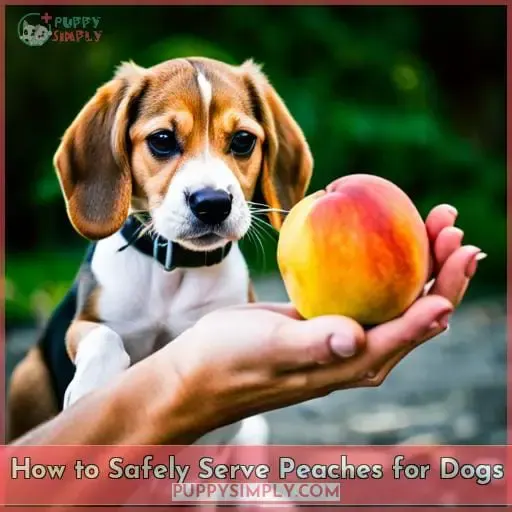 How to Safely Serve Peaches for Dogs