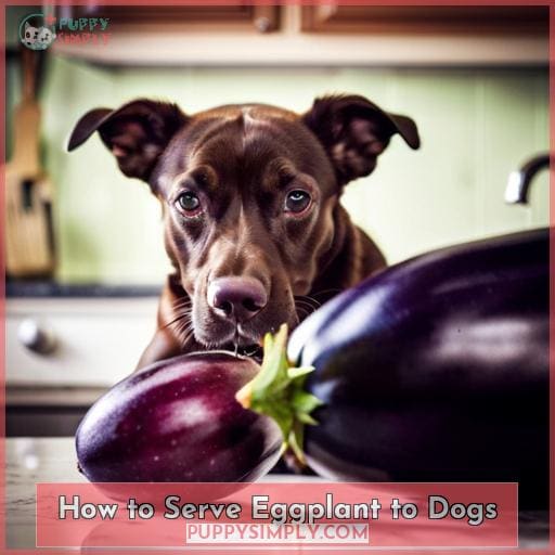 How to Serve Eggplant to Dogs