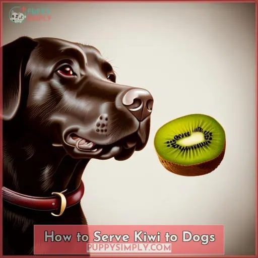 How to Serve Kiwi to Dogs