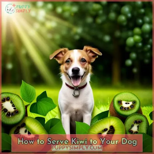 How to Serve Kiwi to Your Dog