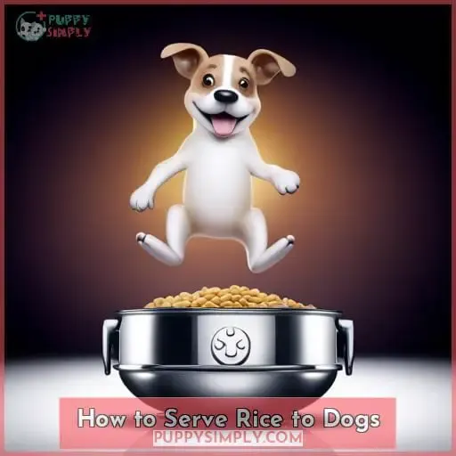 How to Serve Rice to Dogs