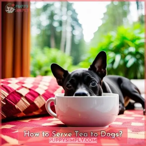 How to Serve Tea to Dogs?